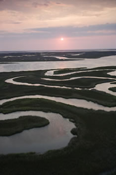 Aerial View Wetlands